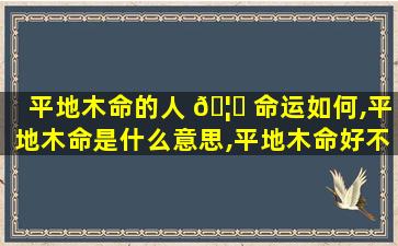 平地木命的人 🦍 命运如何,平地木命是什么意思,平地木命好不好